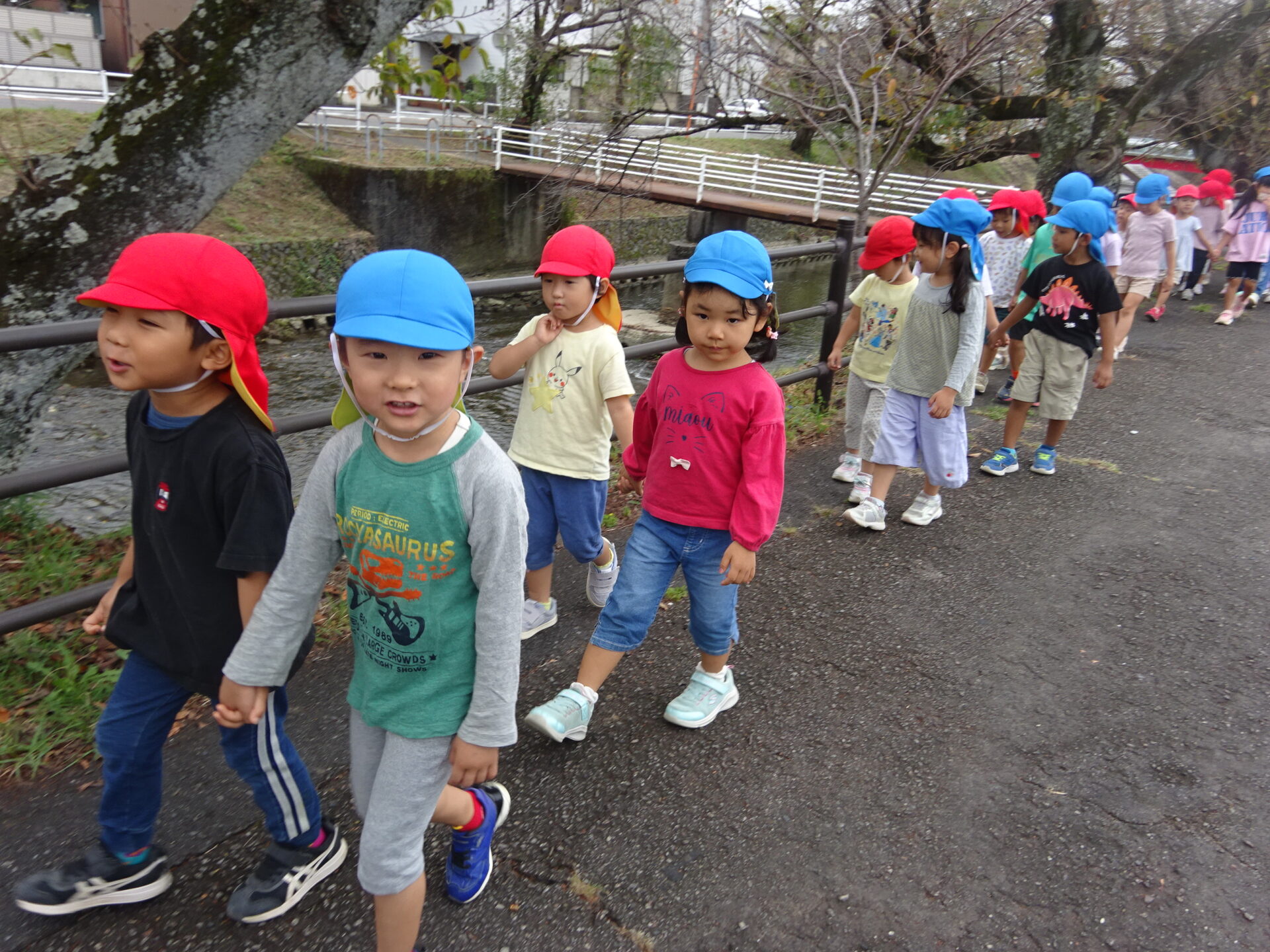 園外散歩と冬野菜の種まき