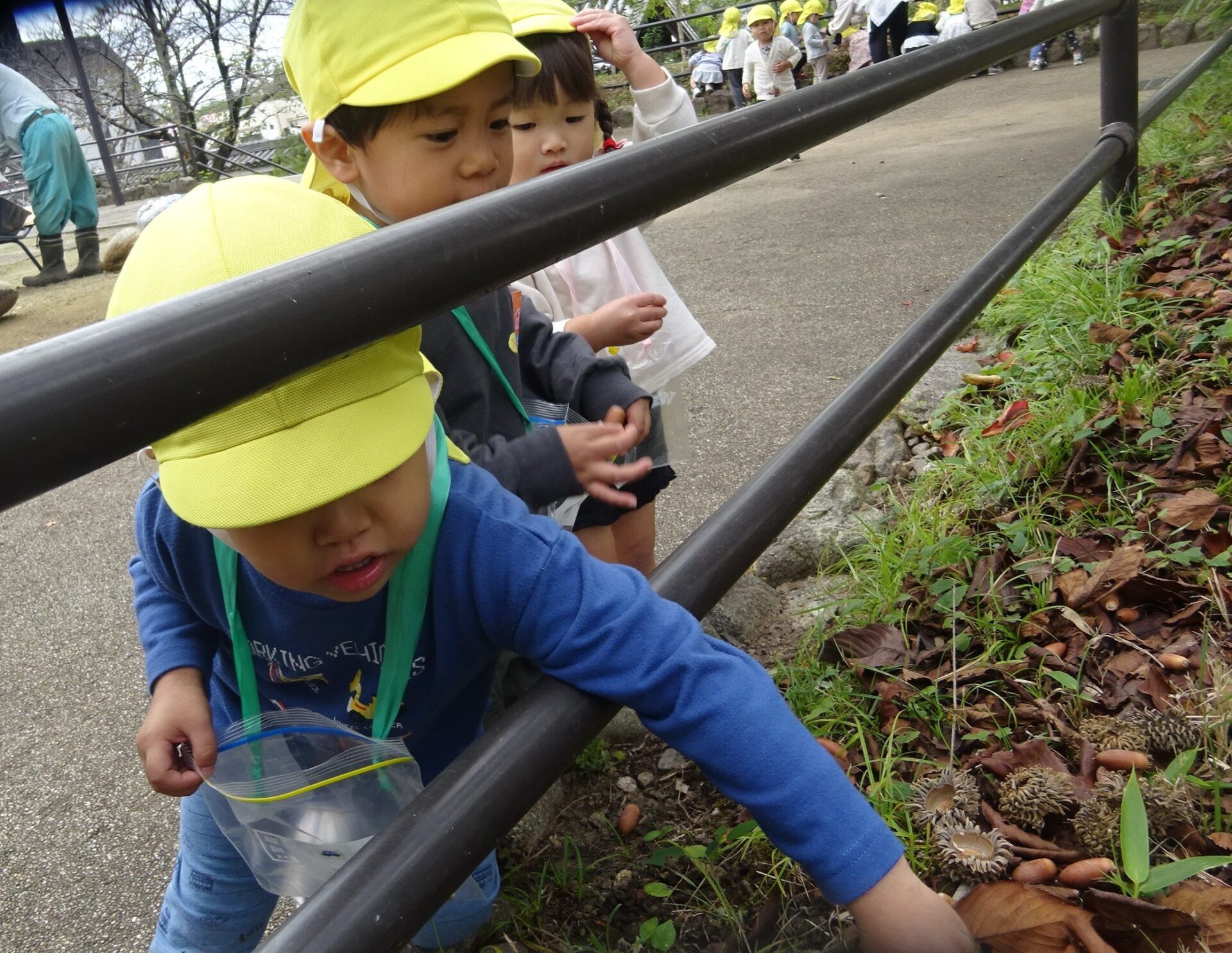 秋見つけ散歩＆戸外遊びの様子