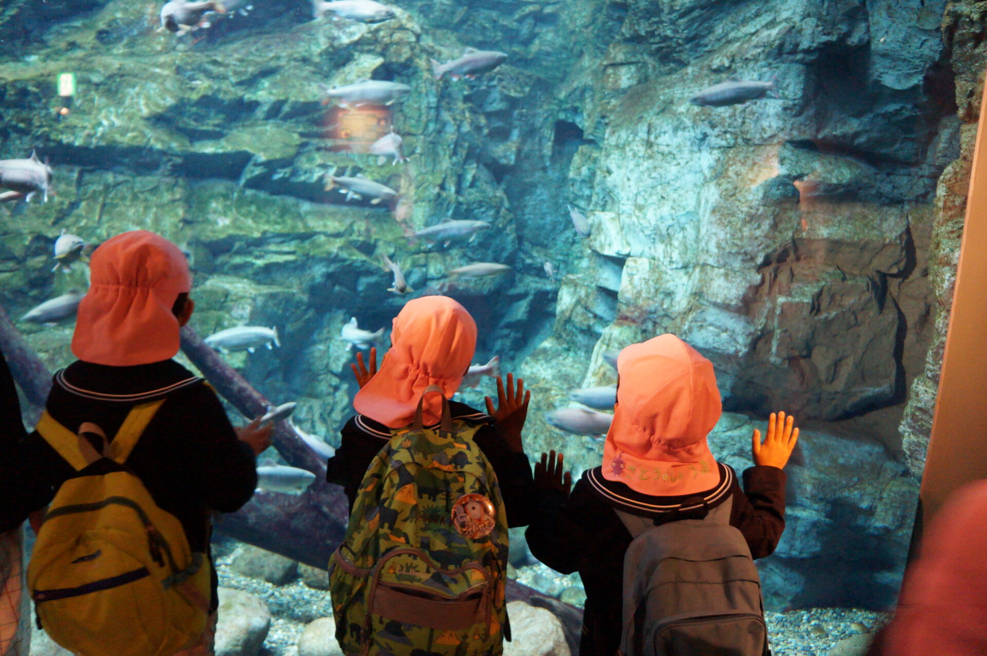 バス遠足　年長児🚌