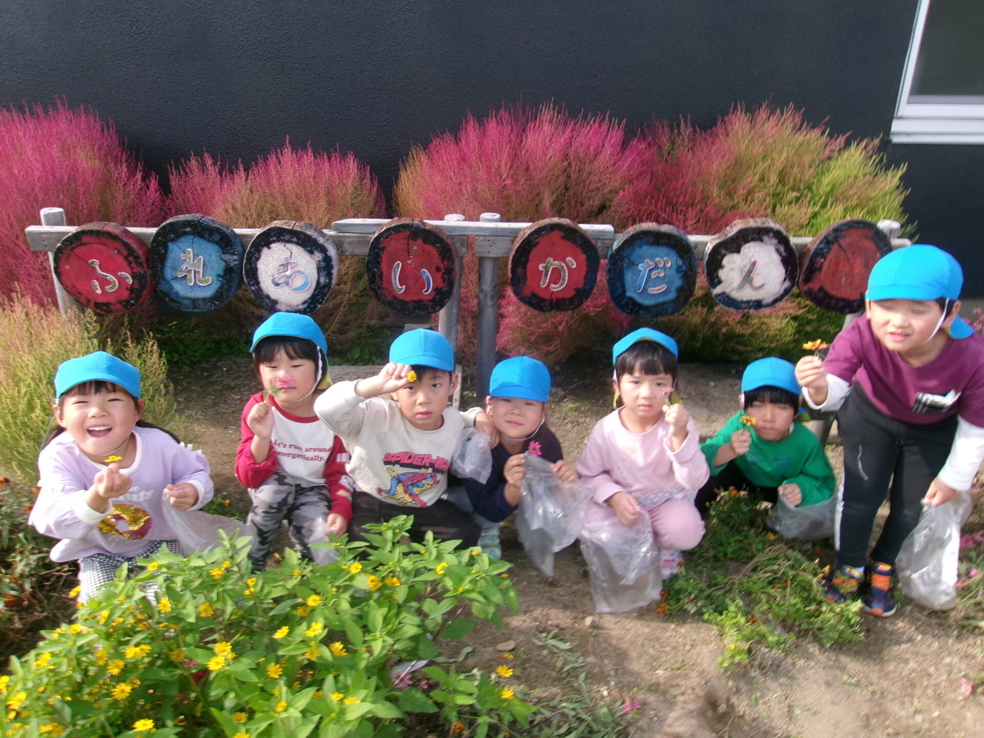 花摘みに行ってきました！🌸